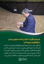 خریداری بالغ بر ۱۸ هزار تن گندم سیلویی و بذری در کهگیلویه و بویراحمد